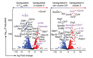 Nature：免疫系統(tǒng)在對抗癌癥的過程中最大的敵人居然是自己！