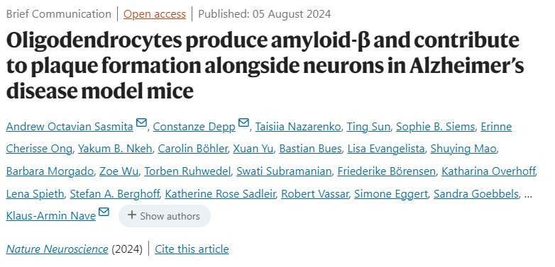 少突膠質(zhì)細(xì)胞在阿爾茨海默病模型小鼠中產(chǎn)生淀粉樣蛋白-β，并與神經(jīng)元一起促進(jìn)斑塊形成