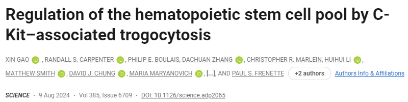 C-Kit相關(guān)的吞噬作用對造血干細胞庫的調(diào)節(jié)