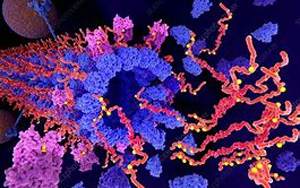 Tau不僅是“壞人”，它還扮演著“好人”的角色，保護我們的大腦
