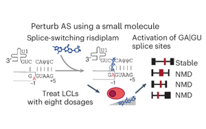 Nature Genetics：驚奇地發(fā)現(xiàn)選擇性剪接比蛋白質多樣性更能影響基因表達？