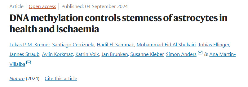 DNA甲基化控制健康和缺血星形膠質細胞的干性