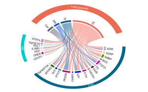 《自然醫(yī)學(xué)》：一種新的血液測(cè)試可以作為兒童糖尿病的早期預(yù)警