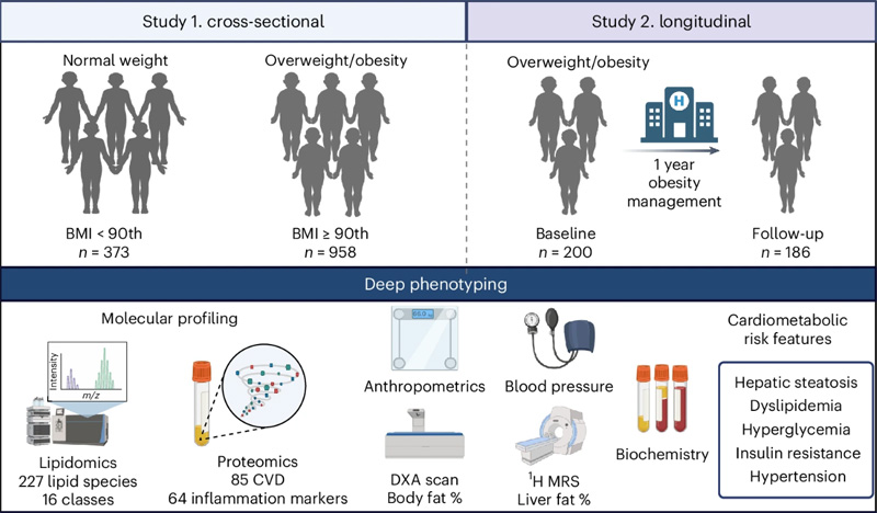方案研究設(shè)計(jì)