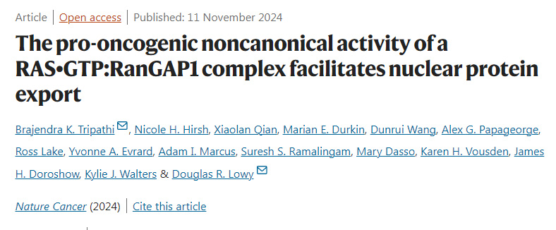 RanGAP1復(fù)合物促進核蛋白輸出