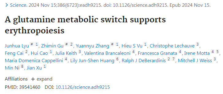 谷氨酰胺代謝開關(guān)支持紅細(xì)胞生成