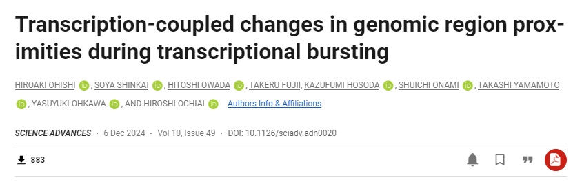 轉錄爆發(fā)過程中基因組區(qū)域鄰近性的轉錄偶聯(lián)變化