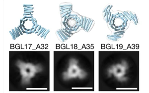Nature：威脅人類的病毒開(kāi)啟了未來(lái)