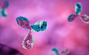 Seebio 病理級(jí)抗體 點(diǎn)亮您的免疫組化病理檢測(cè)