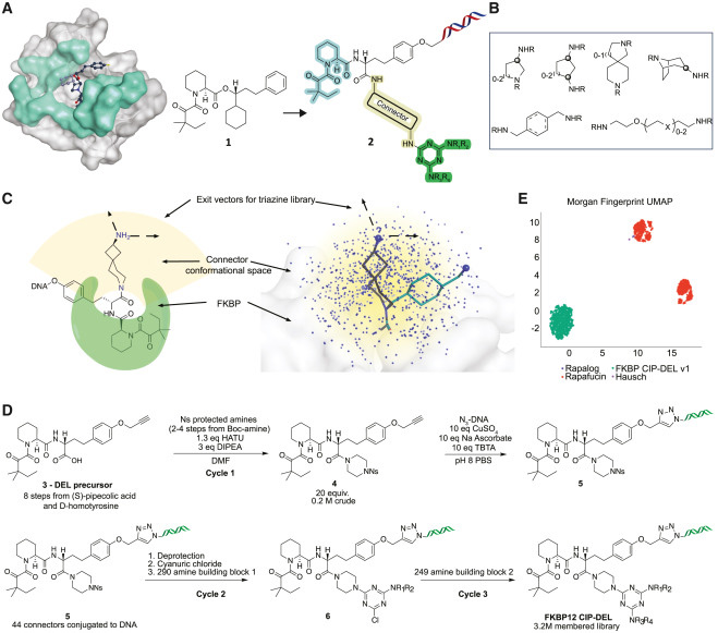 文庫(kù)設(shè)計(jì)與合成