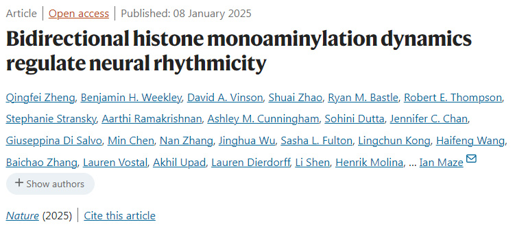 雙向組蛋白單胺化動力學(xué)調(diào)節(jié)神經(jīng)節(jié)律