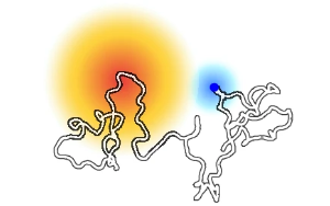 《Nature》解鎖未知分子開關：一種特定蛋白質區(qū)域導致乳腺癌