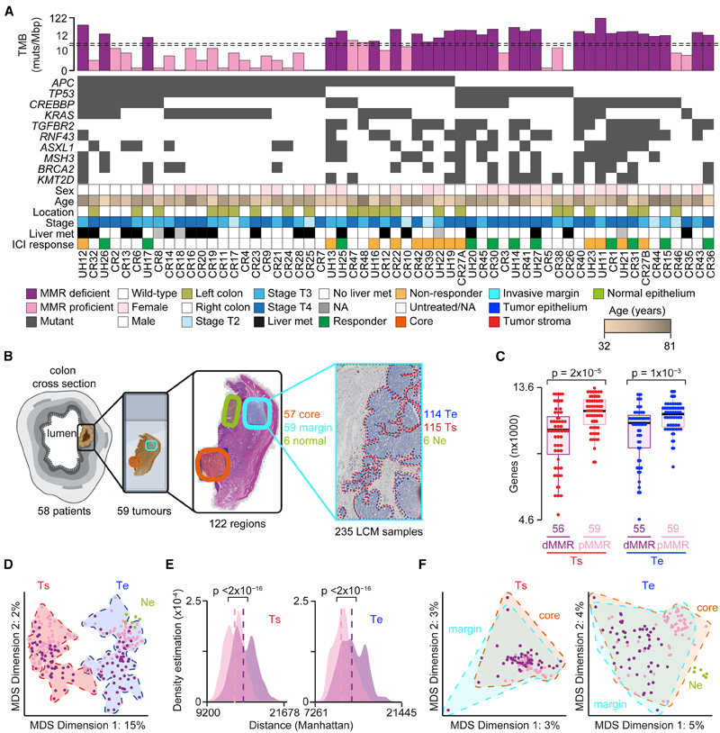 ER-NTD中的疏水性聚集