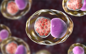 Cell：微生物組的變化預測性傳播疾病的風險