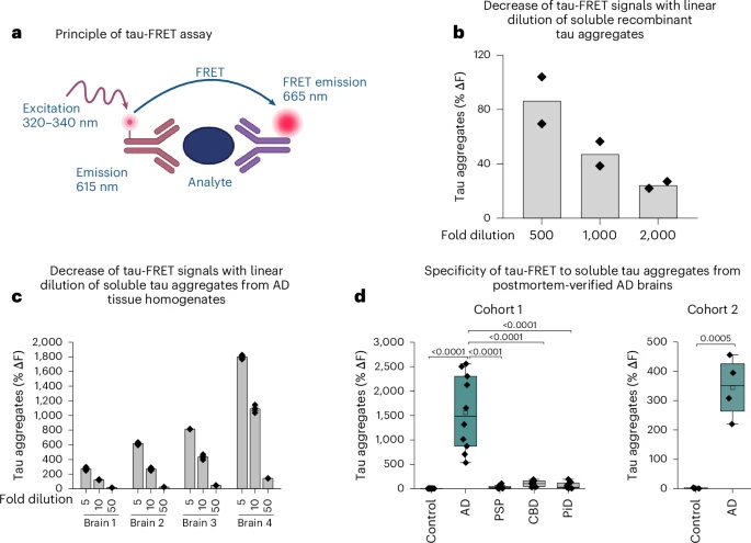 FRET檢測(cè)的神經(jīng)病理學(xué)驗(yàn)證，該檢測(cè)特異性識(shí)別AD中的STA，但不識(shí)別其他神經(jīng)退行性tau蛋白路徑