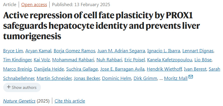 PROX1對細胞命運可塑性的主動抑制保護了肝細胞的身份并預防了肝臟腫瘤的發(fā)生