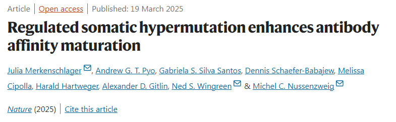 受調(diào)控的體細(xì)胞高頻突變促進(jìn)抗體親和力成熟