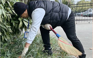 春掃落葉迎新綠，西寶同心繪凈界