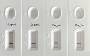 人偏肺病毒（hMPV）抗原檢測-免疫層析 （膠體金、彩色乳膠及熒光免疫層析）解決方案