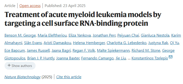 通過(guò)靶向細(xì)胞表面RNA結(jié)合蛋白治療急性髓系白血病模型