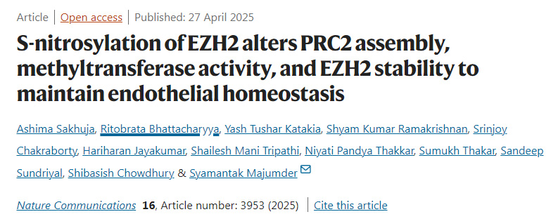 EZH2的S-亞硝基化通過改變PRC2復合物的組裝、甲基轉(zhuǎn)移酶活性及EZH2的穩(wěn)定性來維持內(nèi)皮穩(wěn)態(tài)