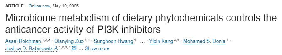  膳食植物化學物質(zhì)的微生物組代謝調(diào)控PI3K抑制劑的抗癌活性