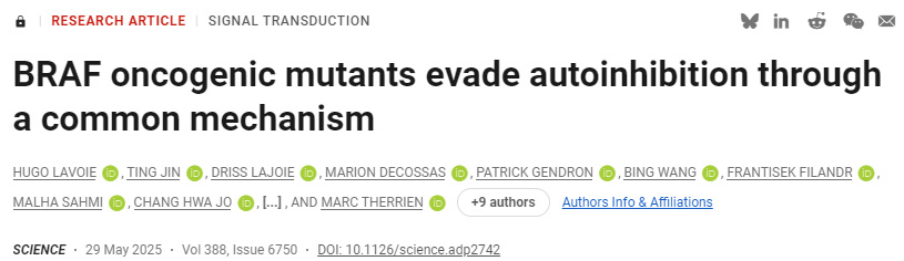BRAF致癌突變體通過共同機(jī)制規(guī)避自身抑制