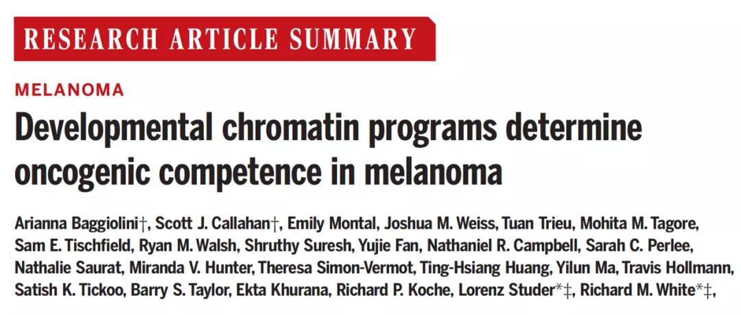 改寫教科書！Science揭示：為什么你體內(nèi)的癌細(xì)胞沒發(fā)展成癌癥？