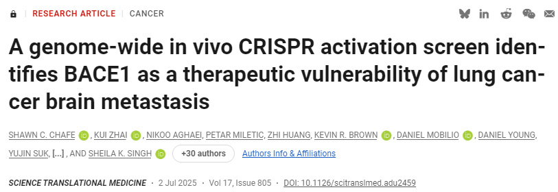 CD4+ T細胞允許庫普弗細胞逆轉(zhuǎn)肝細胞啟動誘導(dǎo)的CD8+ T細胞功能障礙