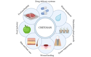 醫(yī)藥新“殼”技：聚焦殼聚糖的生物醫(yī)藥應(yīng)用