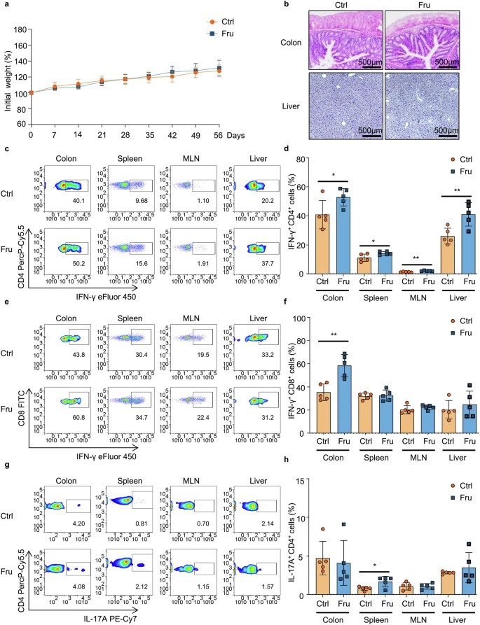 高果糖攝入會促進(jìn)Th1和Th17細(xì)胞介導(dǎo)的免疫應(yīng)答