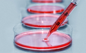 細(xì)胞培養(yǎng)基，撐起生物醫(yī)藥的半壁江山