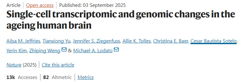 人類大腦衰老過程中的單細(xì)胞轉(zhuǎn)錄組與基因組變化 人類大腦衰老過程中的單細(xì)胞轉(zhuǎn)錄組與基因組變化