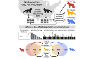 Cell：參考基因組的選擇會影響遺傳研究的結(jié)果