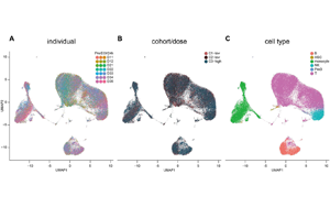 工程化細胞外囊泡（ILB-202）抑制NF-κB的安全性與抗炎作用：一項雙盲、隨機、安慰劑對照的I期臨床試驗