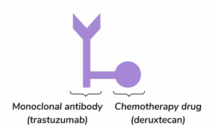 抗體藥物偶聯(lián)物Trastuzumab Deruxtecan在HER2低表達轉移性乳腺癌中的長期生存獲益：DESTINY-Breast04 III期試驗最終分析