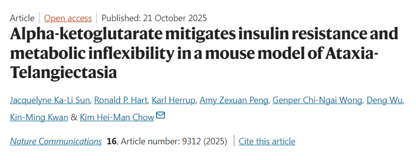 α-酮戊二酸緩解共濟失調(diào)-毛細(xì)血管擴張癥小鼠模型的胰島素抵抗與代謝僵化