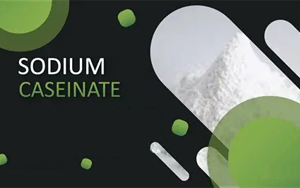 酪蛋白酸鈉在診斷試劑中的核心應用解析