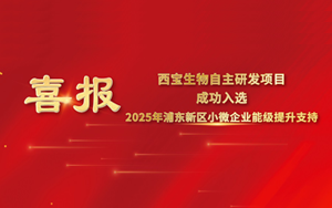 喜報 | 西寶生物“可拉酸”項目成功入圍2025年浦東新區(qū)小微企業(yè)提升能級項目，喜獲專項支持