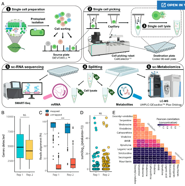 單個植物原生質體的多重分析