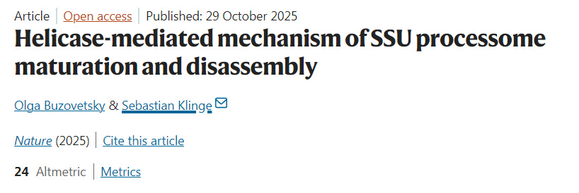 解旋酶介導(dǎo)的小亞基加工體成熟與解聚機制