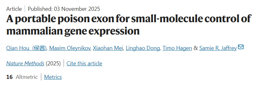 通用型毒性外顯子：小分子調(diào)控哺乳動(dòng)物基因表達(dá)的新策略