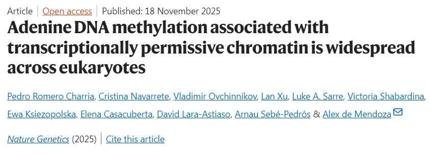 肥胖重塑脂肪組織中CD8+ T細(xì)胞的鐵代謝以加劇代謝性炎癥