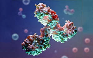 糖基化分析在生物制藥中的應用