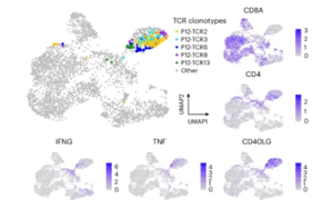 靶向DNAJ-PKAc融合蛋白的肽疫苗聯(lián)合免疫檢查點抑制劑治療纖維板層型肝癌的Ⅰ期臨床試驗研究