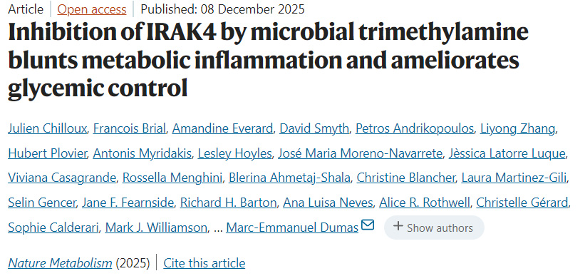 微生物三甲胺抑制IRAK4可削弱代謝性炎癥并改善血糖控制