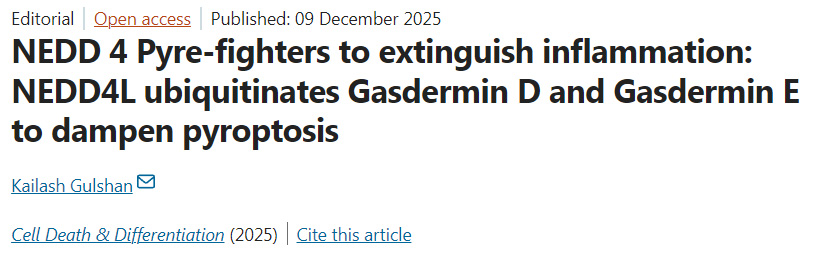 NEDD4作為焦亡斗士平息炎癥：NEDD4L通過泛素化Gasdermin D與Gasdermin E抑制細(xì)胞焦亡