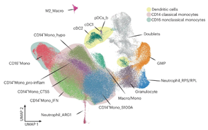 Nature Cancer：?jiǎn)渭?xì)胞分析揭示多發(fā)性骨髓瘤的免疫景觀