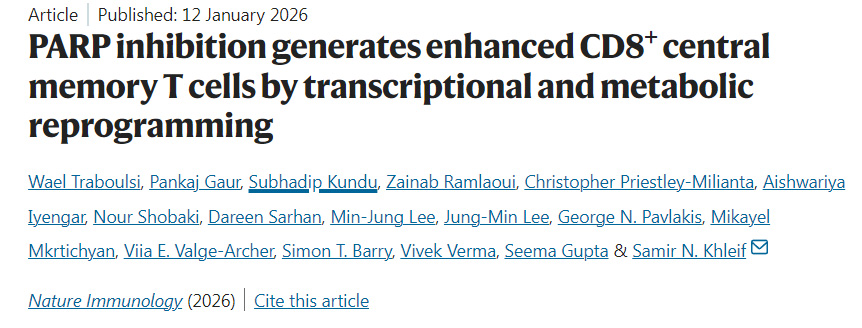 PARP抑制通過轉(zhuǎn)錄與代謝重編程促進CD8+中央記憶性T細胞擴增