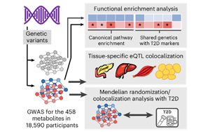 循環(huán)代謝物、遺傳與生活方式因素在2型糖尿病未來(lái)風(fēng)險(xiǎn)中的綜合作用研究
